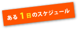ある1日のスケジュール