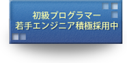 初級プログラマー 若手エンジニア積極採用中